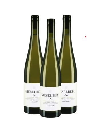 Deidesheimer Kieselberg Riesling N Vertikale